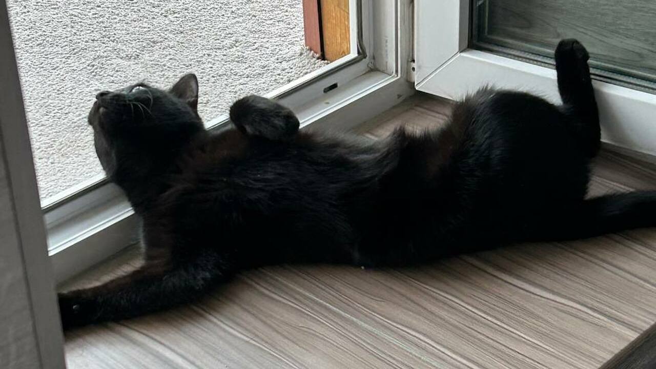 Дома прохладно в +40 даже без кондиционера: этот лайфхак освободит от летней жары Изучив многовековой опыт народов, живущих в усл...