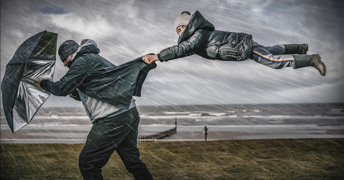 В Самарской области объявлен желтый уровень опасности из-за ветра Скорость ветра 5 ноября может достигать 18 м/с