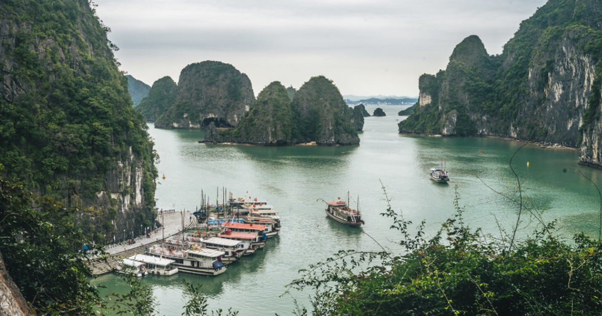 Во Вьетнаме туристам в 2026 году стоит заложить...