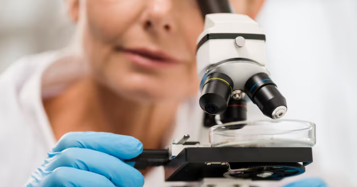 Учёные создали супер-заряженный грибок с почти вдвое большим содержанием белка Учёные из Университета Цзяннань сообщили о созд...