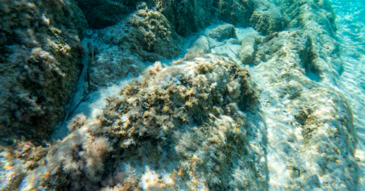 Геологи выявили фрагмент древнего морского дна ...