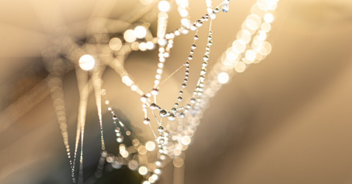 Ученые из Лаборатории молекулярной биологии MRC...