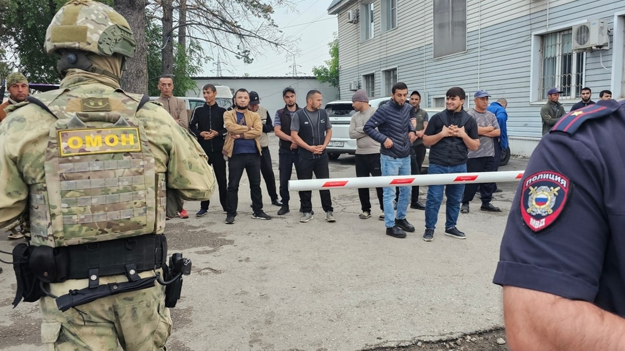 В Самаре мигранты прыгали через забор, убегая от проводивших рейд полицейских На самарской овощебазе прошел рейд в рамках опе...