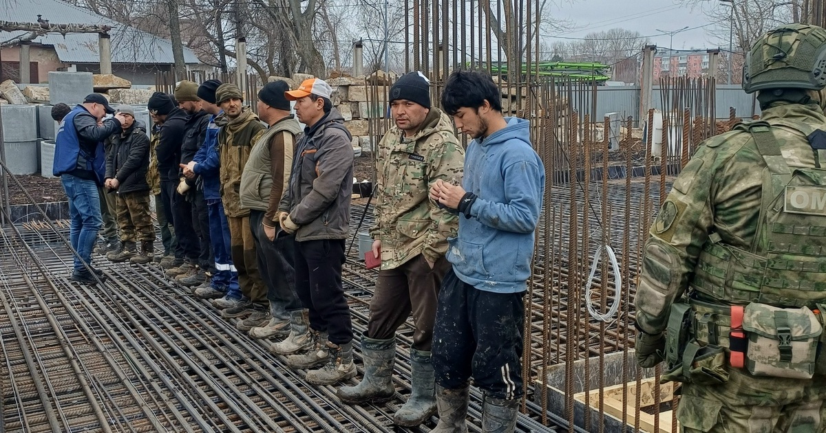 В Самарской области полиция выявила более 700 миграционных нарушений Возбуждено 133 уголовных дела, из них 110 связа...