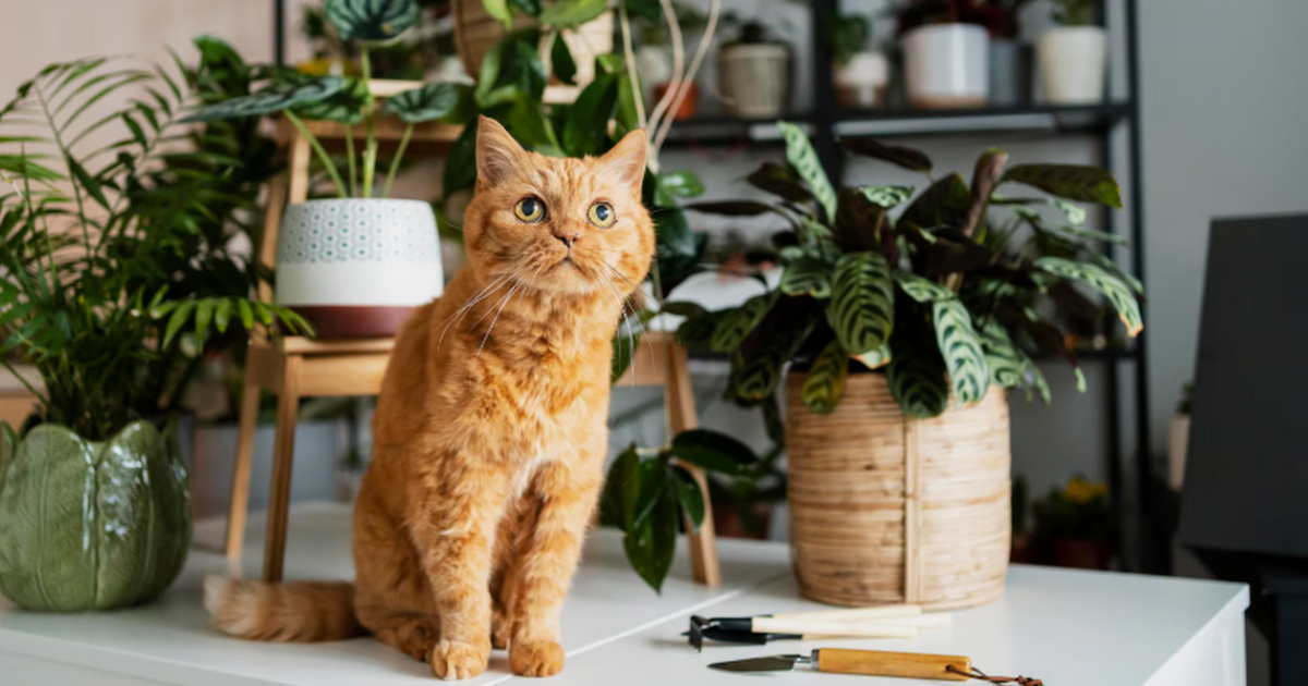 Мужчину уволили из автосервиса за больничный по...