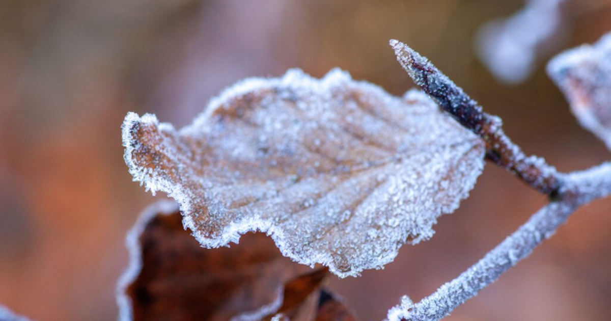 Февраль удивит: в Самарской области потеплеет С...