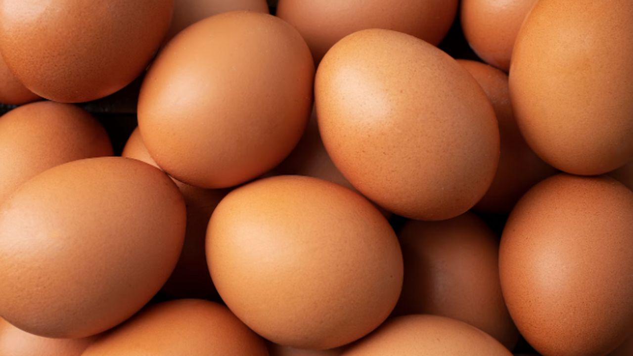 Органолептические характеристики продукта удовл...