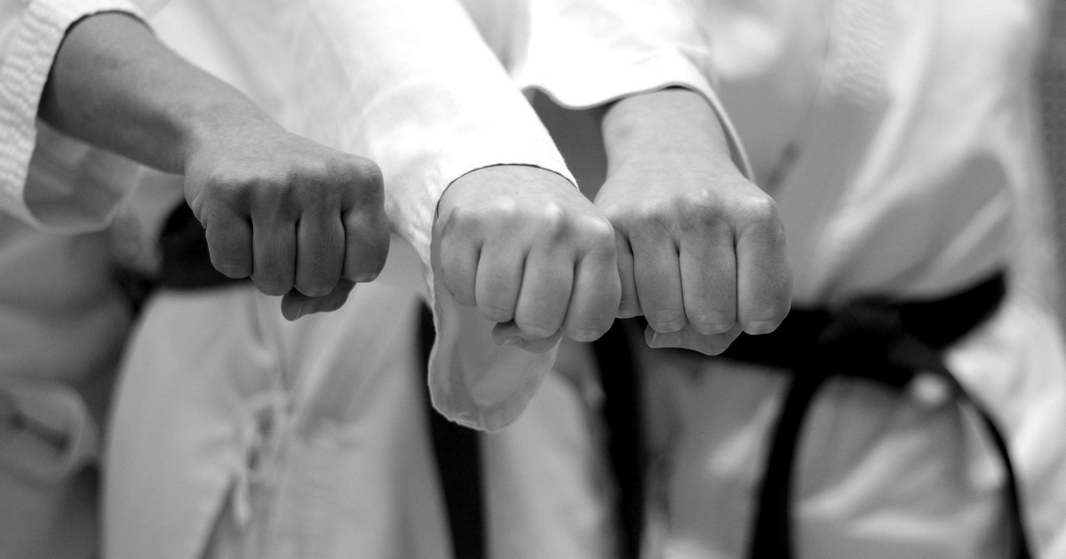 Каратистка тольяттинской школы "Рекорд" стала призером международного турнира В столице состоялся турнир "Москва - Вселенная ...