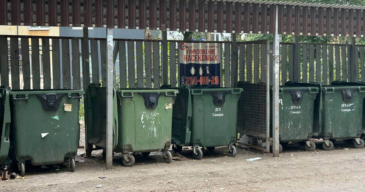 Юрист Андрей Моисеев предупредил, что за мусор,...