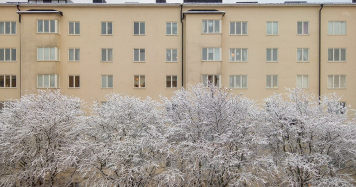 В Самарской области похолодает до -13: Прогноз погоды на декабрь 2025 года В Самарской области ожидается значительное похо...