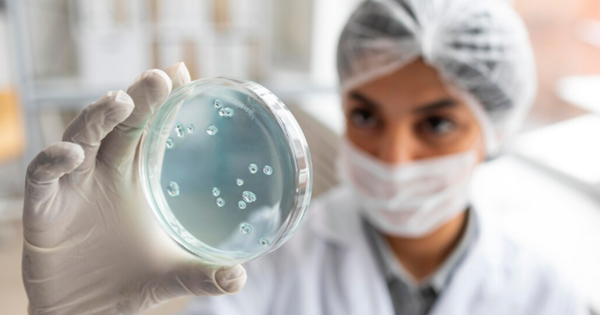 Учёные Томского государственного университета в...