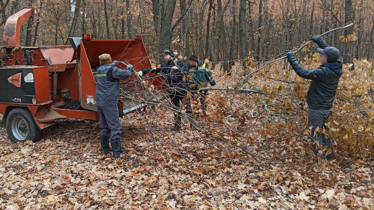 Осужденные КП-1 очистили лесопарк Тольятти от мусора и сухостоя Об этом сообщили в областном УФСИН