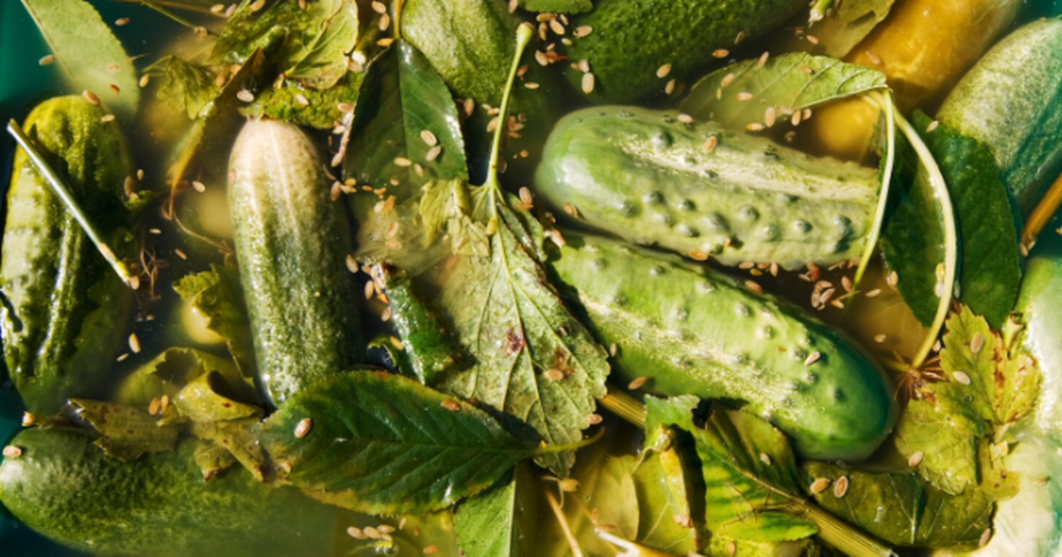 Самарцам напомнили о пользе домашних солений и квашеных овощей Соленья помогают сохранить витамины и пробиотик...
