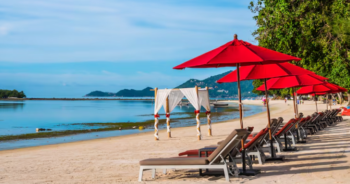 Во Вьетнаме туриста из России пытались выгнать ...