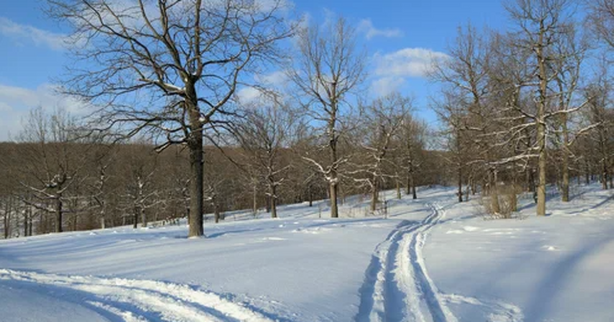 Комментарии появились под одним из постов губер...