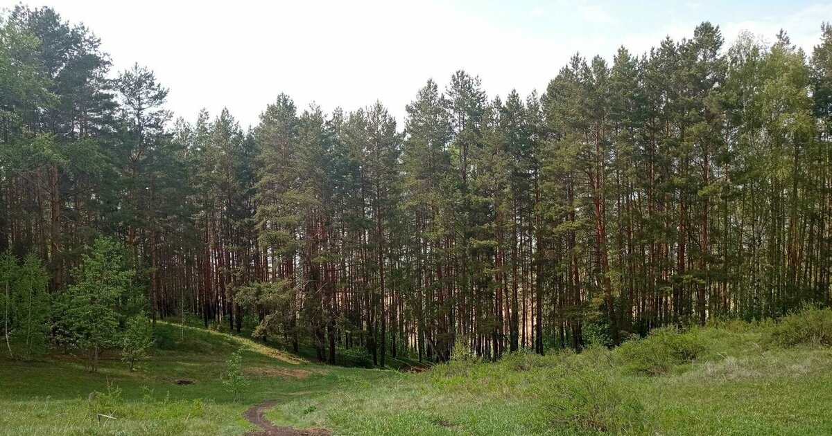 Это было объявлено в ходе прямой линии губернатора