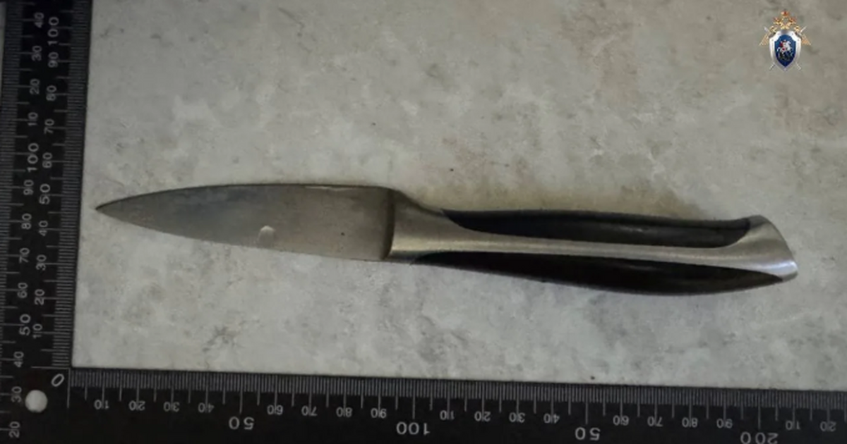 В Самаре местный житель признан виновным в убийстве знакомого Обвиняемый в состоянии опьянения нанес потерпев...