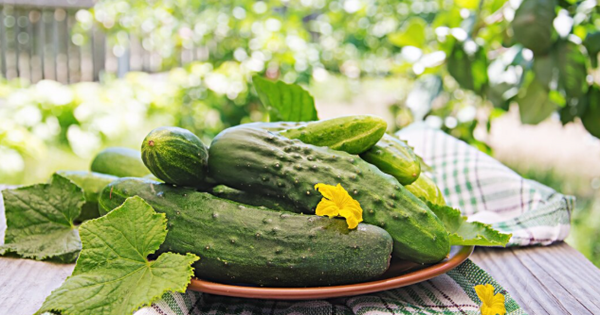 Почему пучковые гибриды меняют правила игры на ...