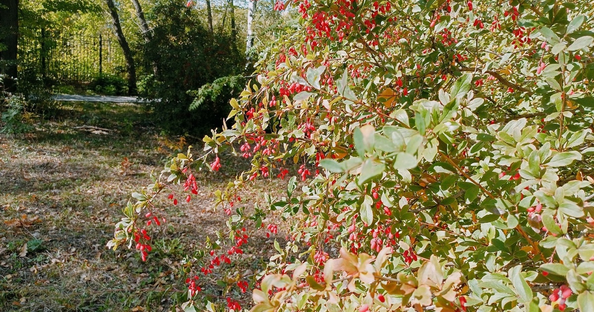 К концу недели ожидается потепление
