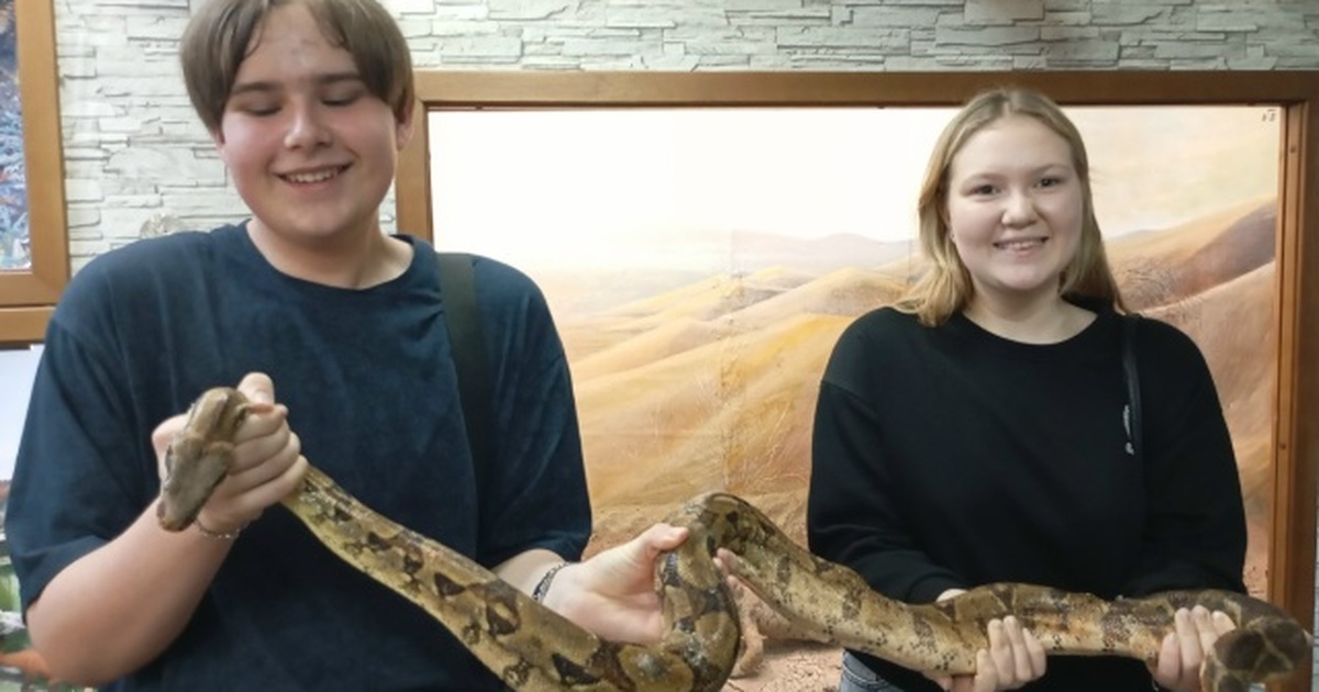 Он работает на базе СГСПУ