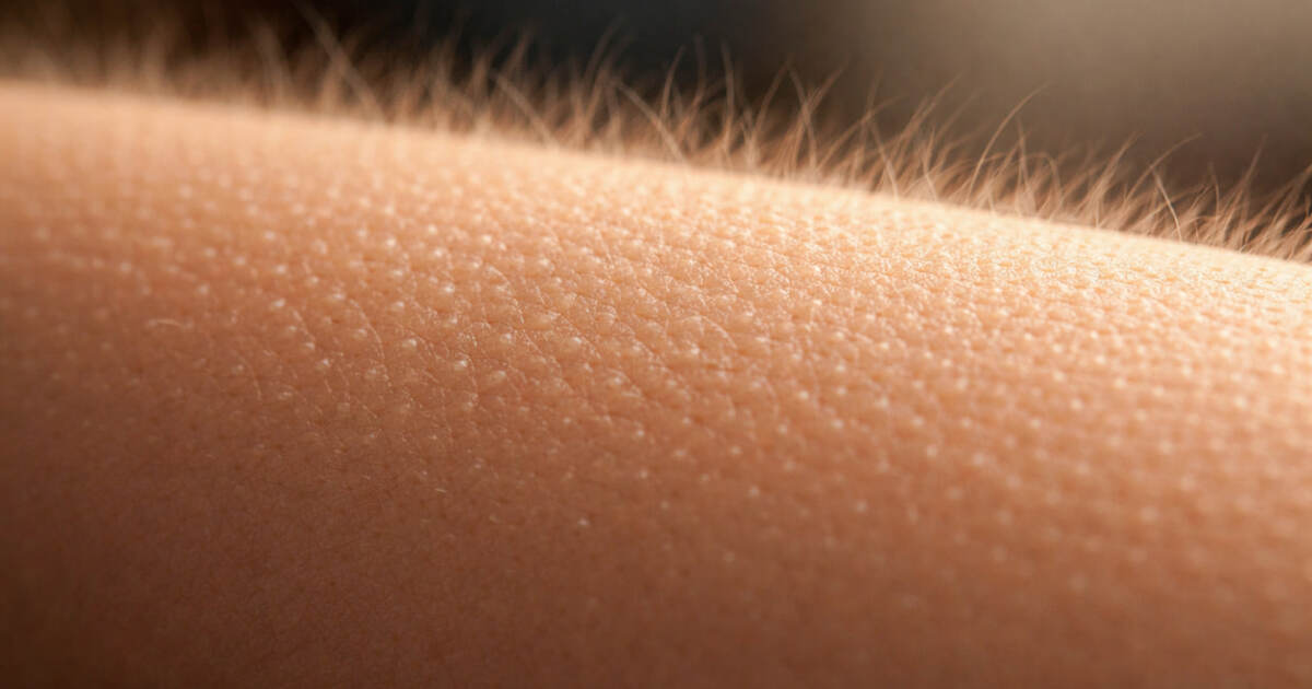 Исследование Института психолингвистики Обществ...