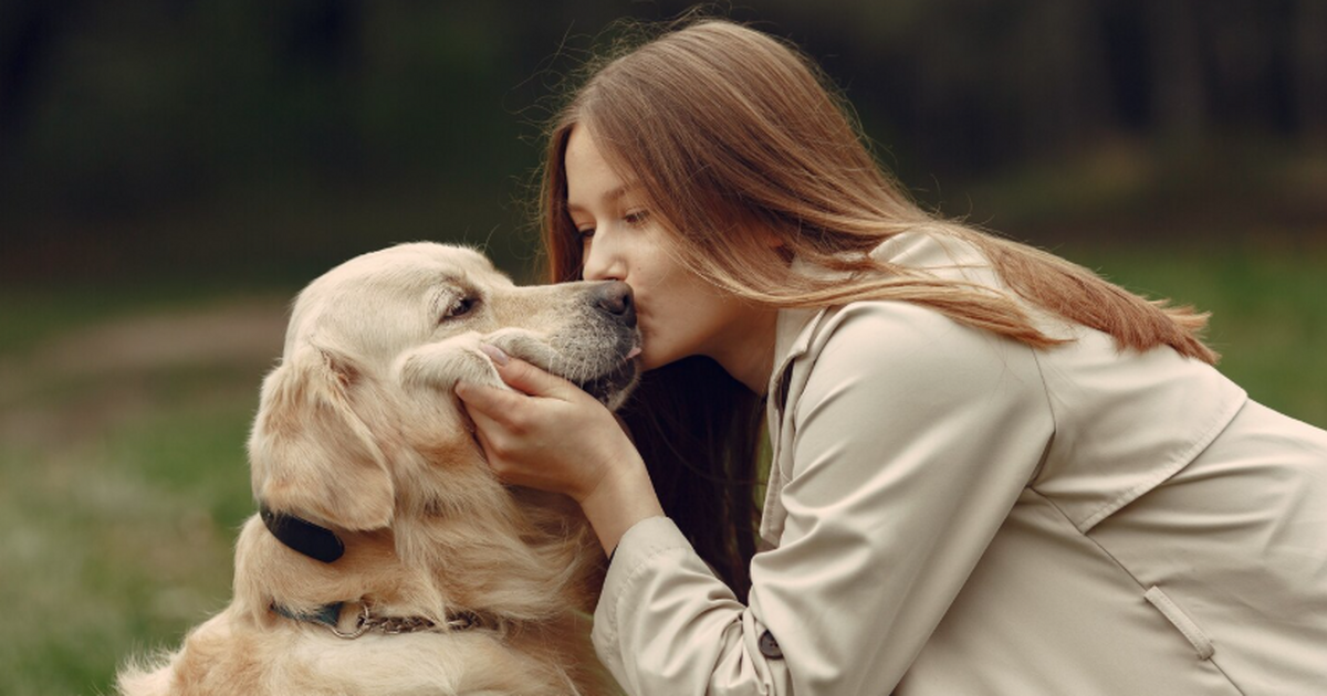 Люди могут не так точно понимать эмоции собак, ...
