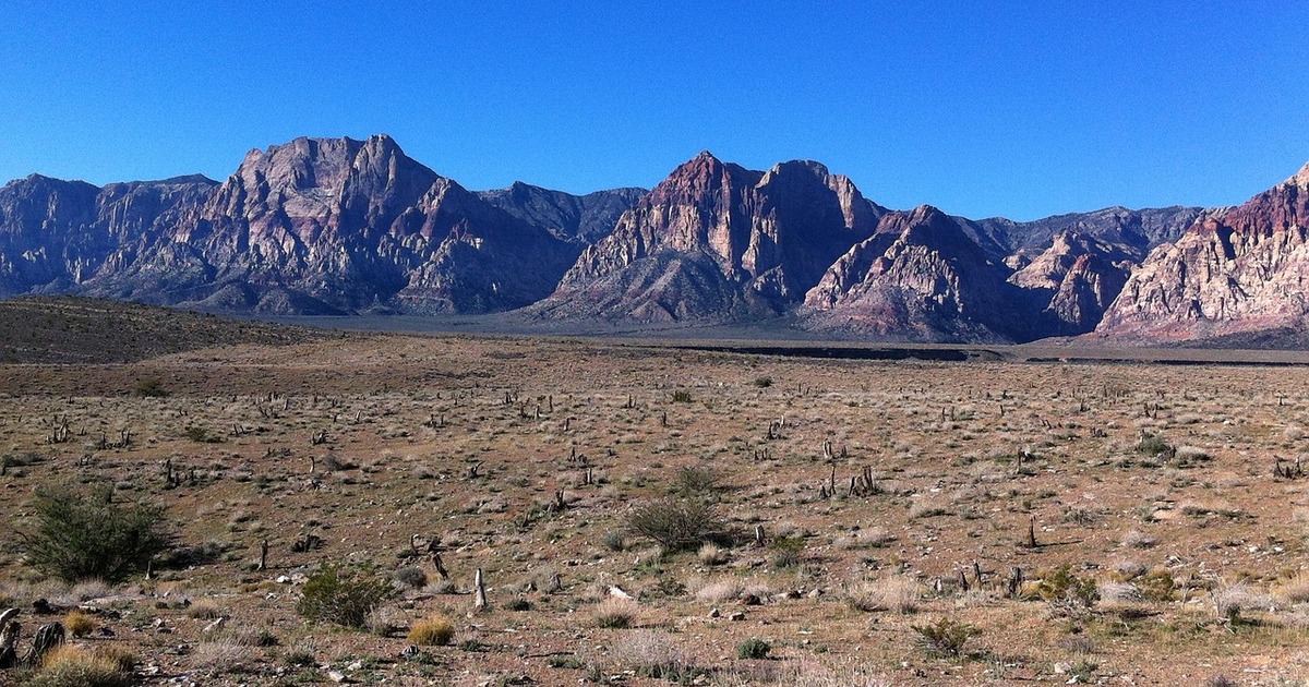 Их опознание практически невозможно