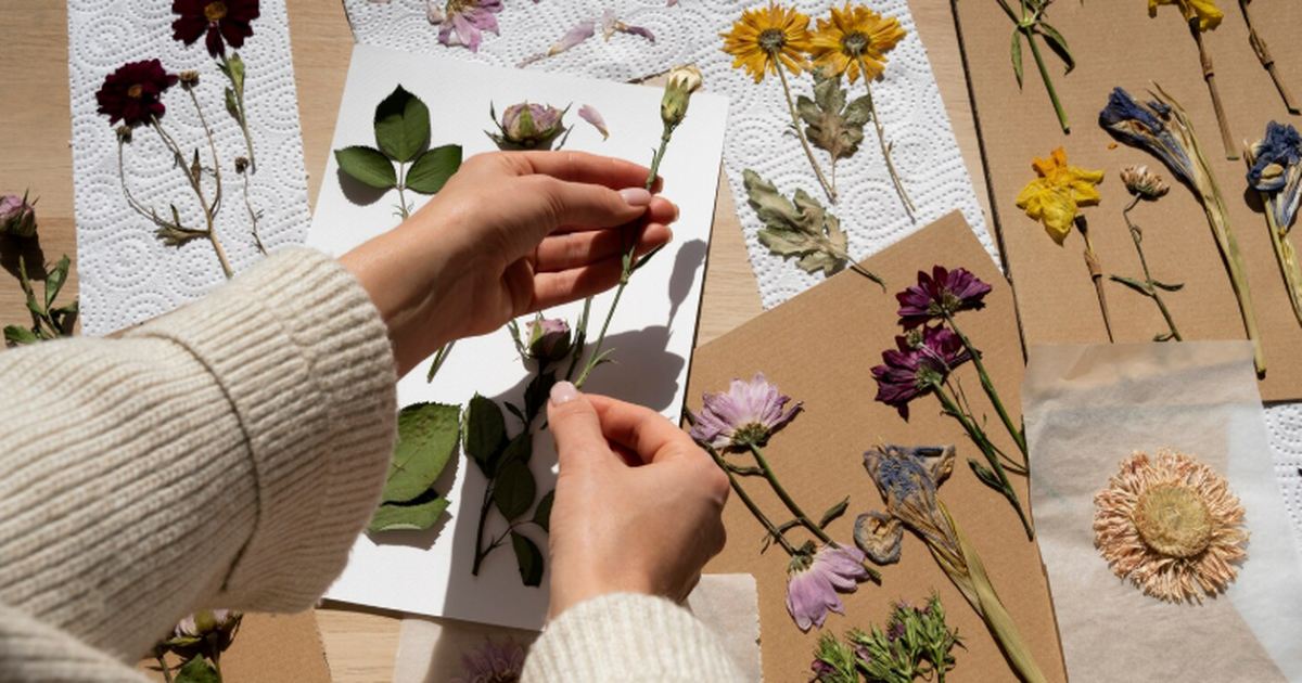 ИИ научили «на глаз» определять, где собрали гербарный образец Современные большие языковые модели могут с выс...