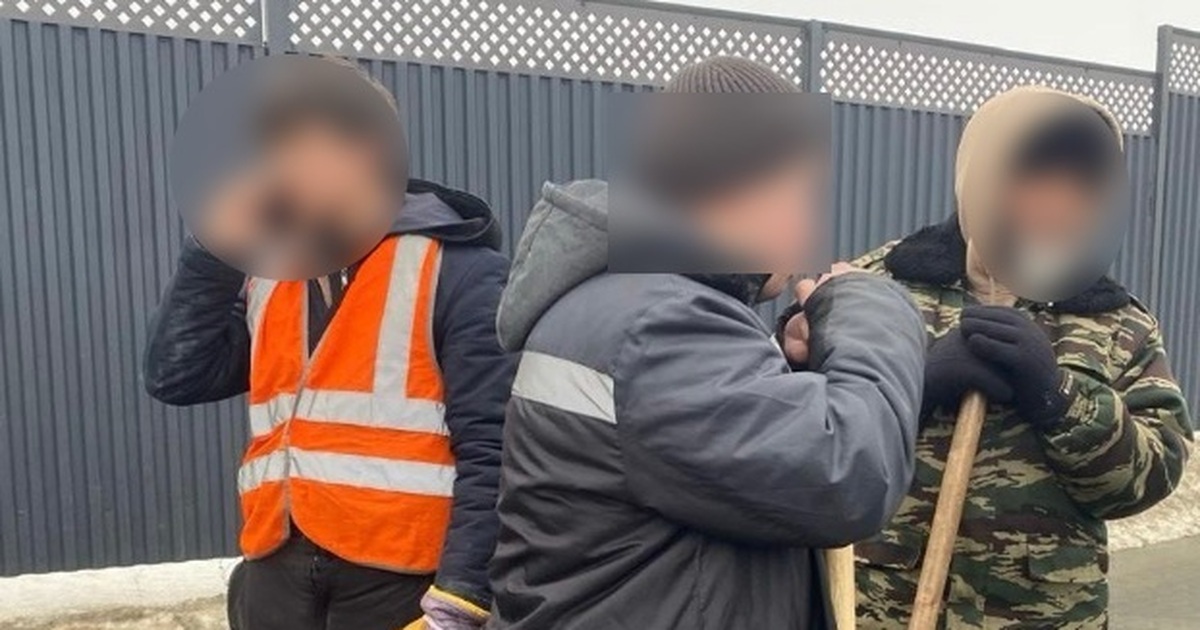 Трудоустройство нелегалов обошлось компании в 6...