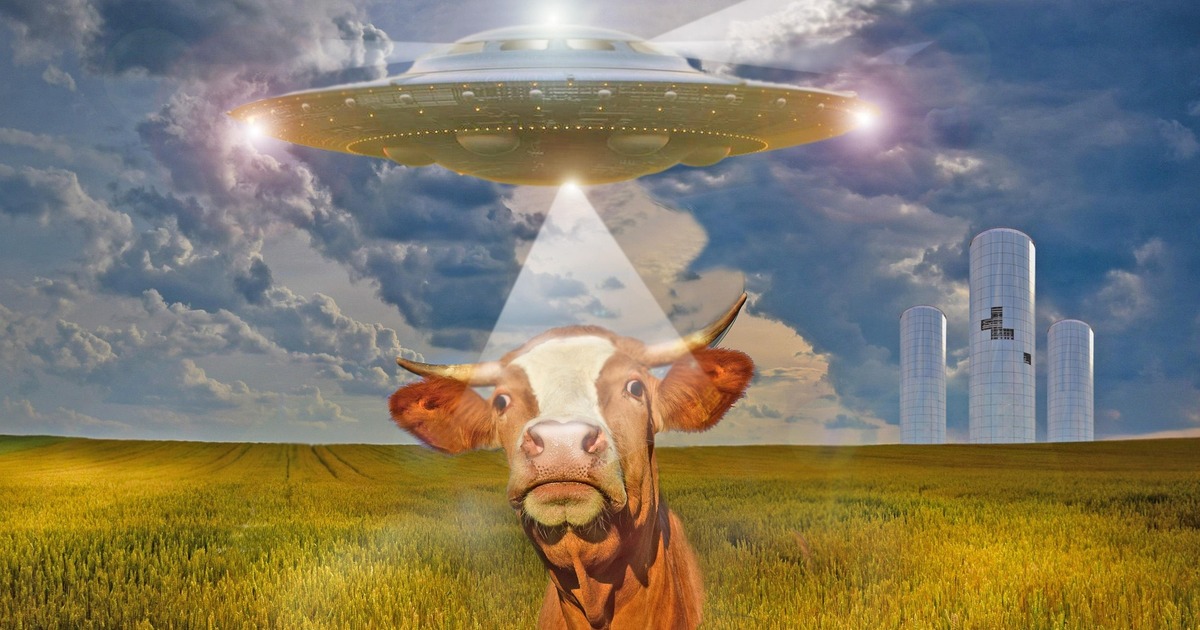 В так называемой М-зоне цены на дома снизились ...