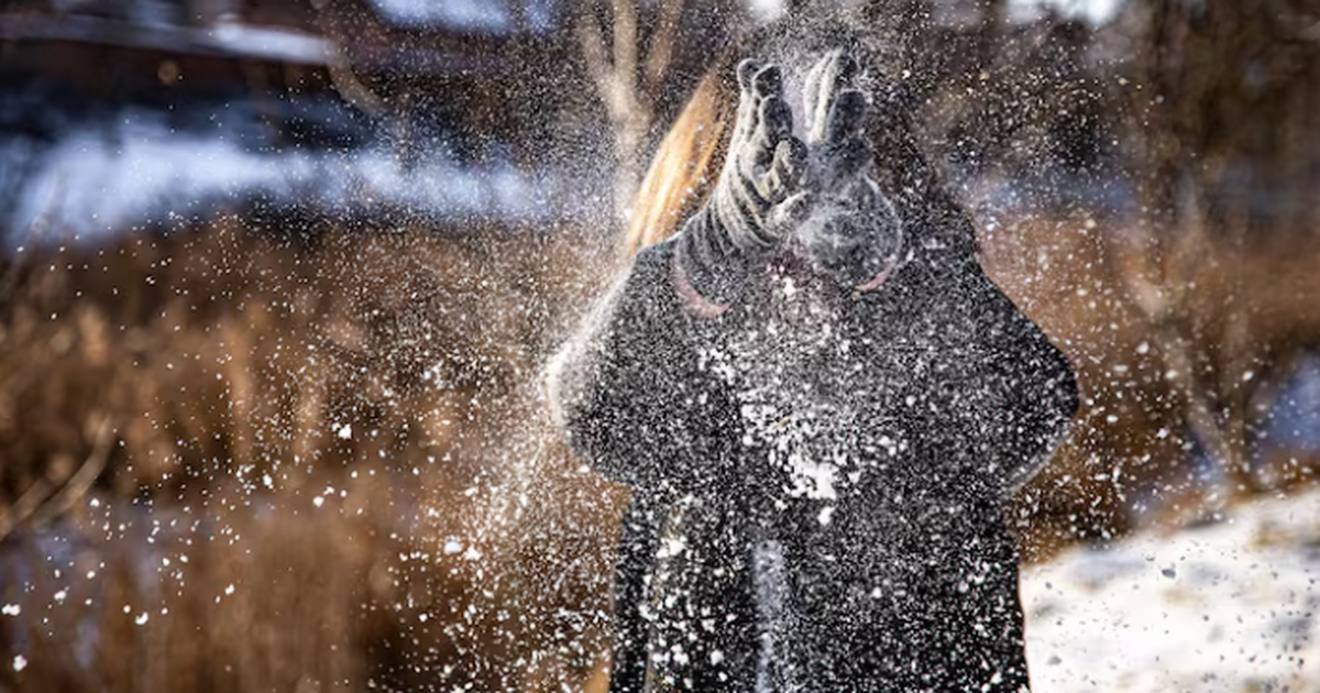 Самара снова залипнет в мороз: до -32°C на выхо...