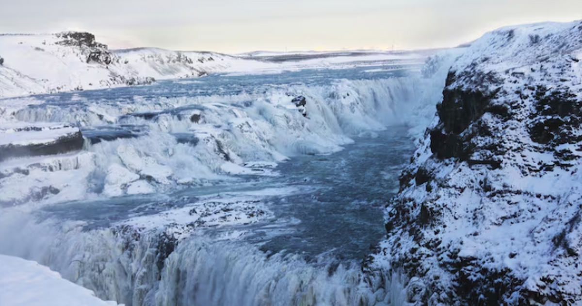 В Антарктиде впервые подтвердили массовую гибель поморников от H5N1 Ученые впервые подтвердили, что вирус птичьего ...
