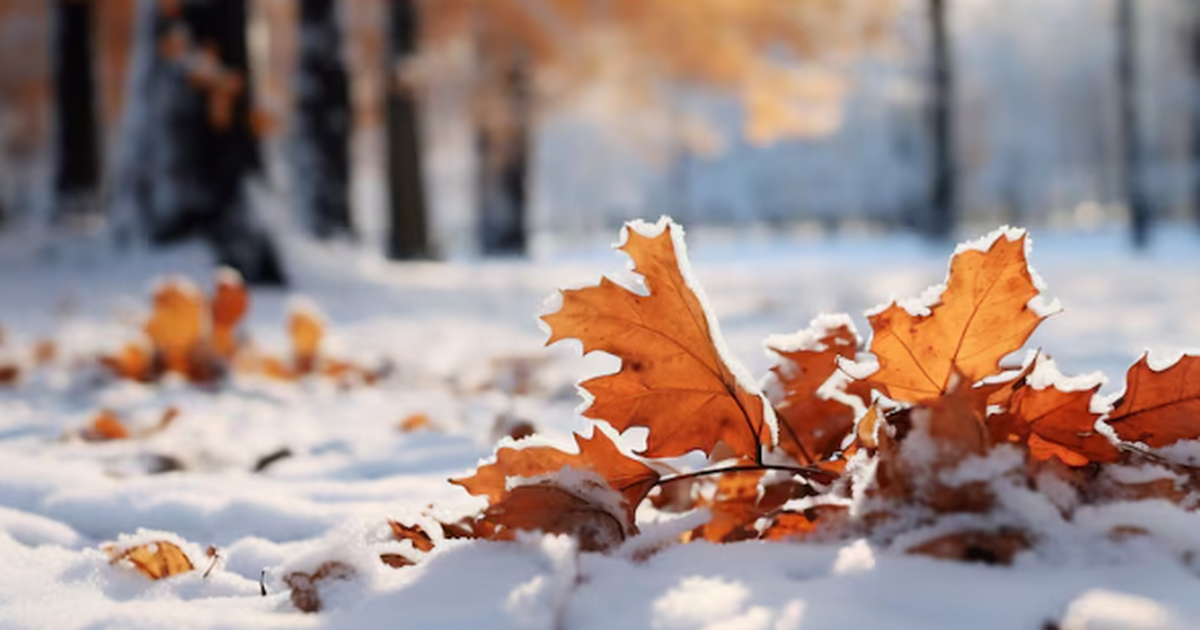 Москва в морозе: ночь на 23 декабря стала самой...