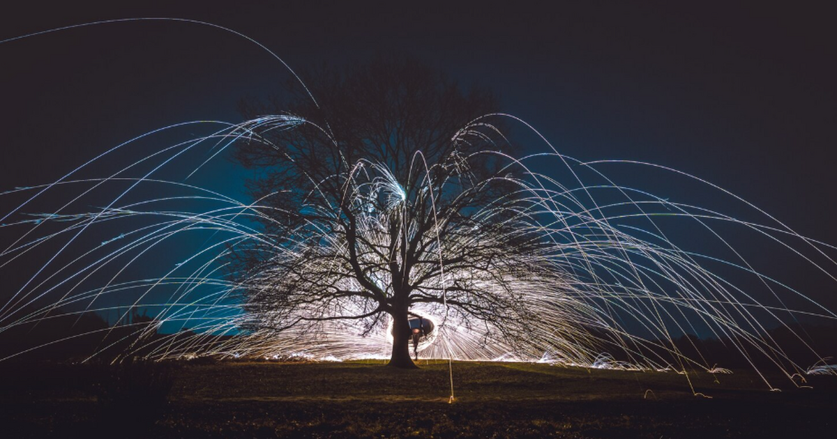 Учёные впервые наблюдали коронное свечение дере...