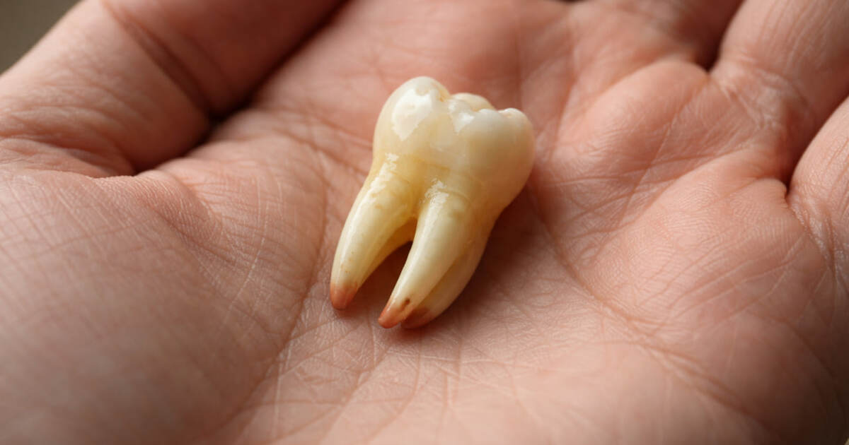 Исследование Journal of Periodontology показало...