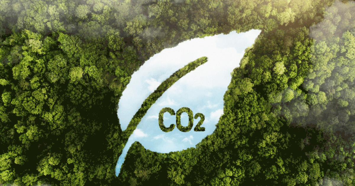 Жара и засухи меняют роль болот: вместо поглоще...