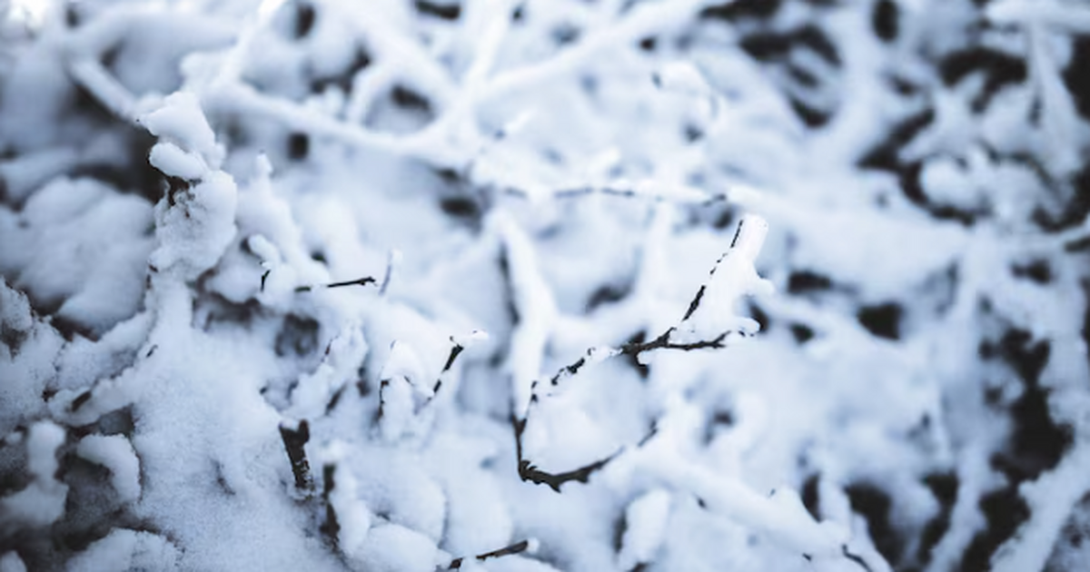 Такого мы точно не ожидали: Россия столкнулась с аномальным потеплением в начале ноября На большей части России на неделе будет теплее ...