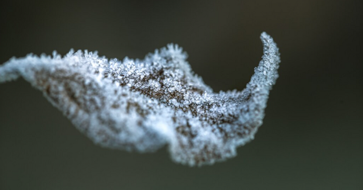 Весны пока ждать не стоит: В Самару возвращаются морозы до -22°C До -22 °C: в Самарской области ударит мороз -22...