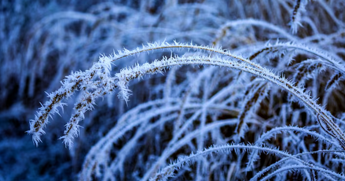 В этот день россиян накроет зимняя вьюга: Вильфанд назвал точную дату прихода аномальной погоды По данным Гидрометцентра (Роман Вильфанд) и ТАС...