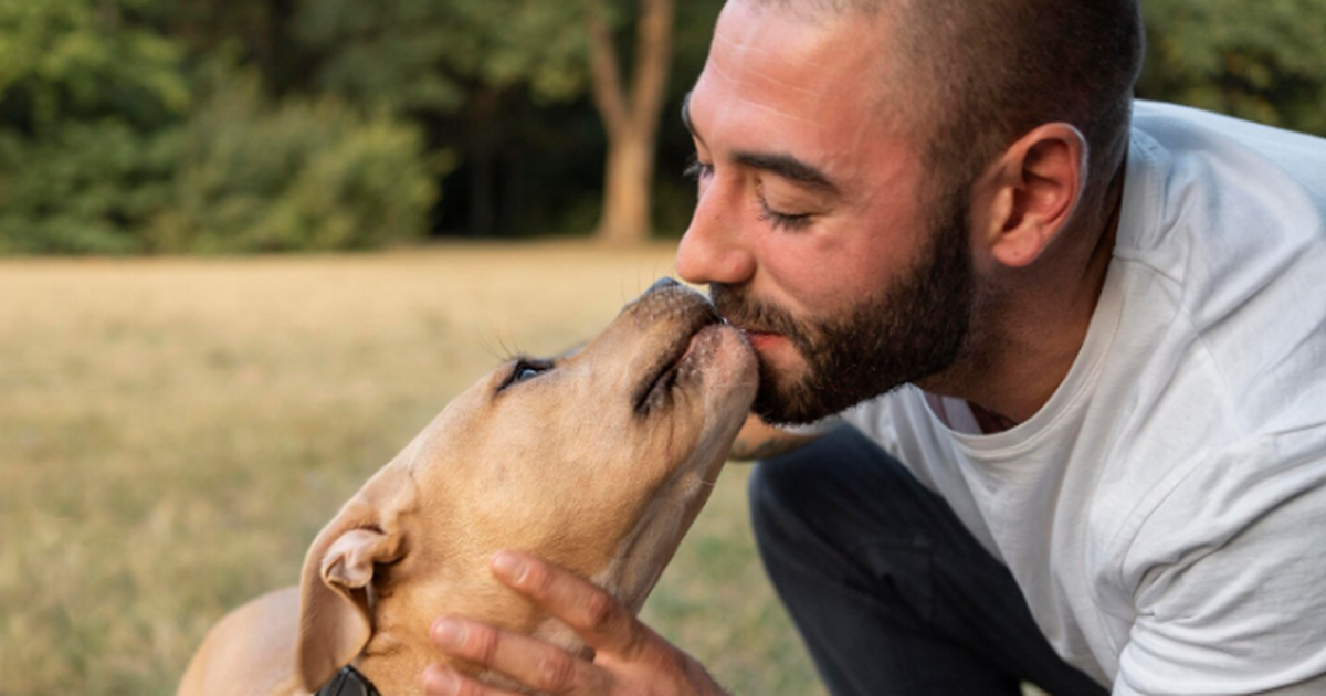 Врачи предупреждают о рисках поцелуев с кошками...