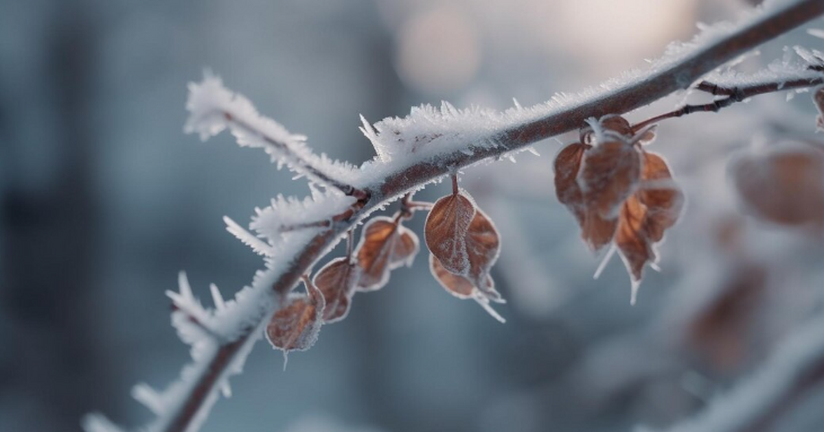 Гидрометцентр прогнозирует россиянам хаотичную и "нервную" зиму: подробный прогноз на 3 месяца Зима — это не просто время года в России. Это х...