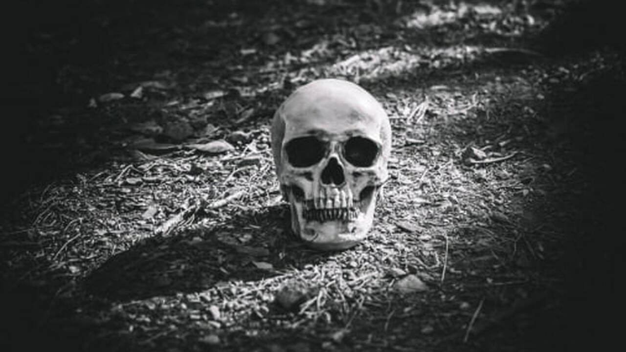 Используя компьютерную программу, стало возможн...