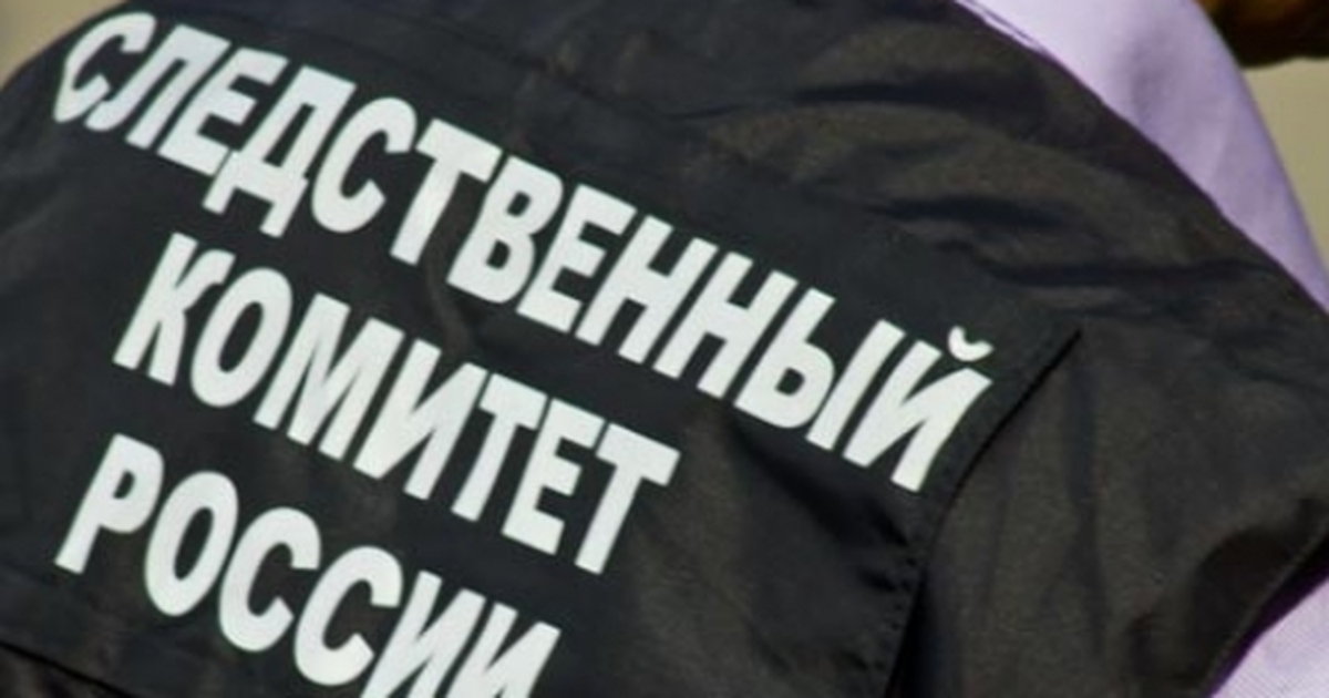 В Самаре двум местным жителям предъявили обвинение после смерти женщины В отношении обвиняемых суд избрал меру пресечен...
