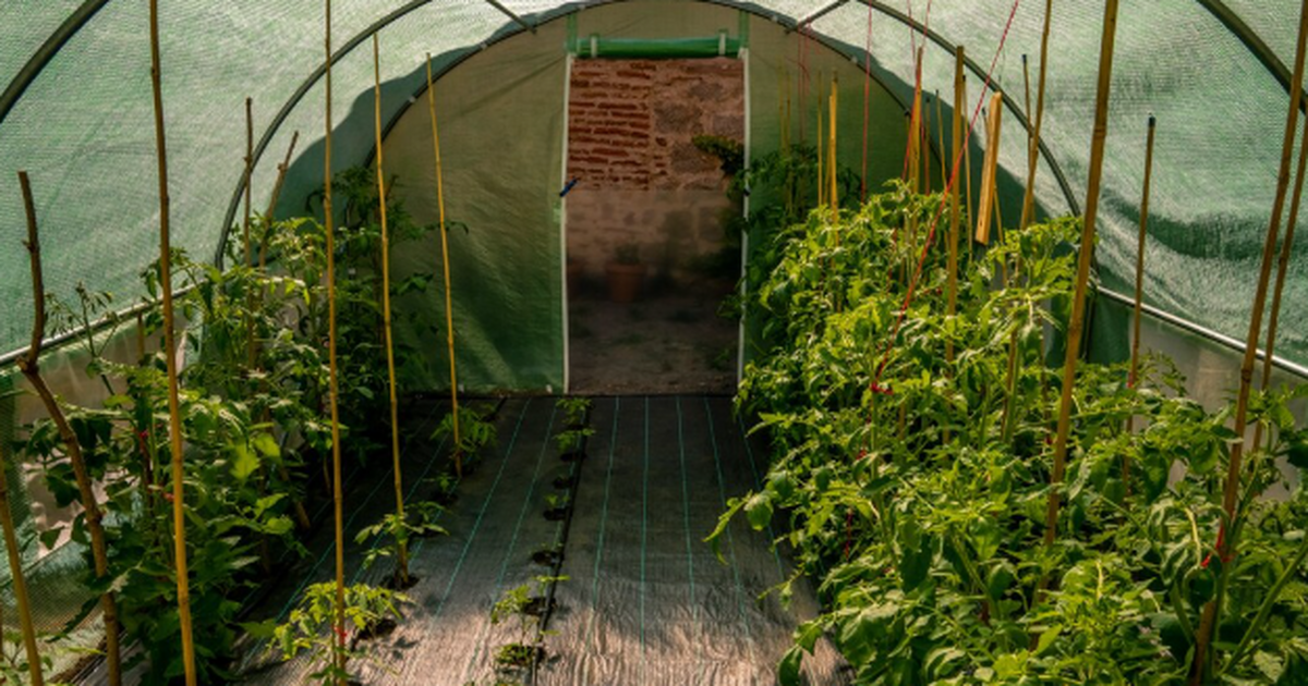 Многие годы автор Дзен-канала проводил на участ...