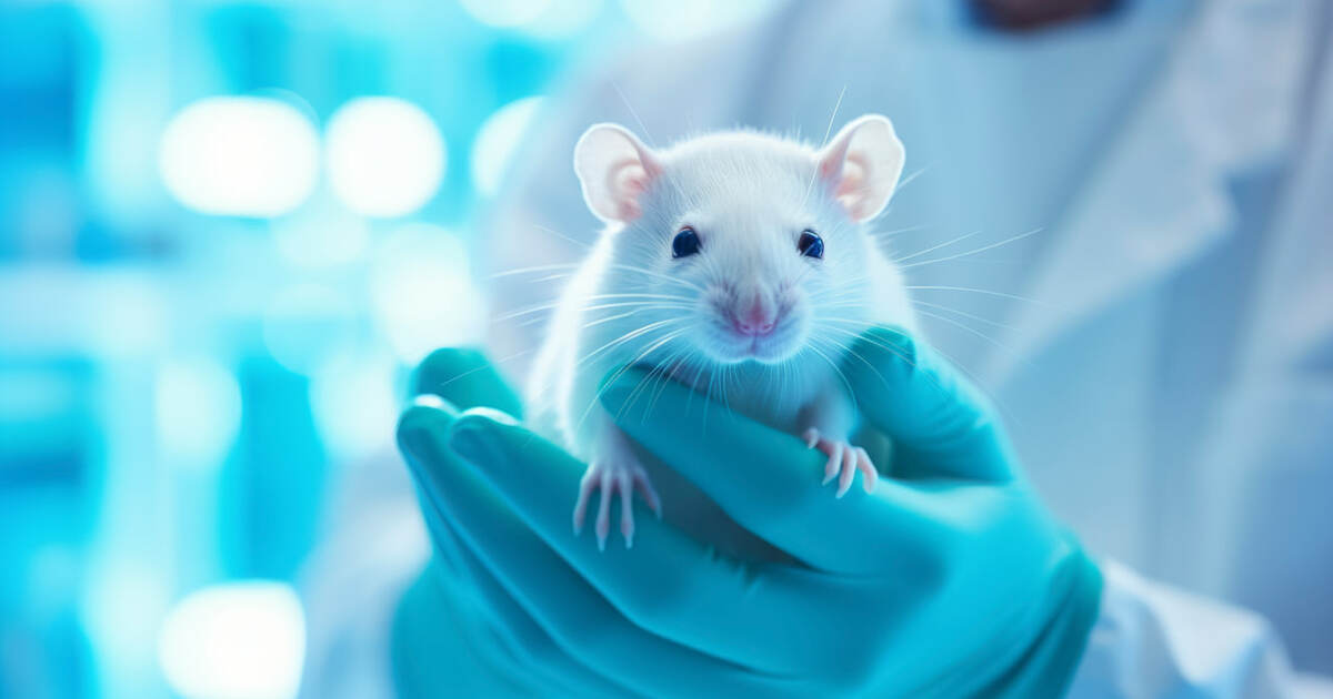 Исследователи Стэнфордской школы медицины сообщ...