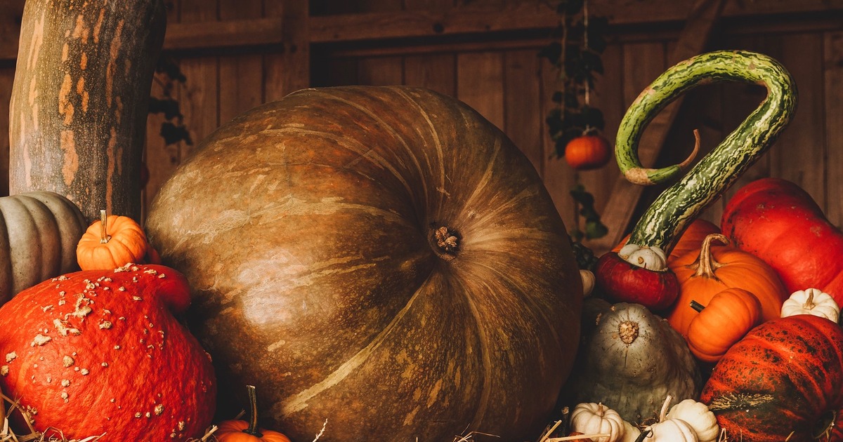 Религиовед объяснила отношение церквей к празднованию Хэллоуина Доктор религиоведения провела аналогии Хэллоуин...