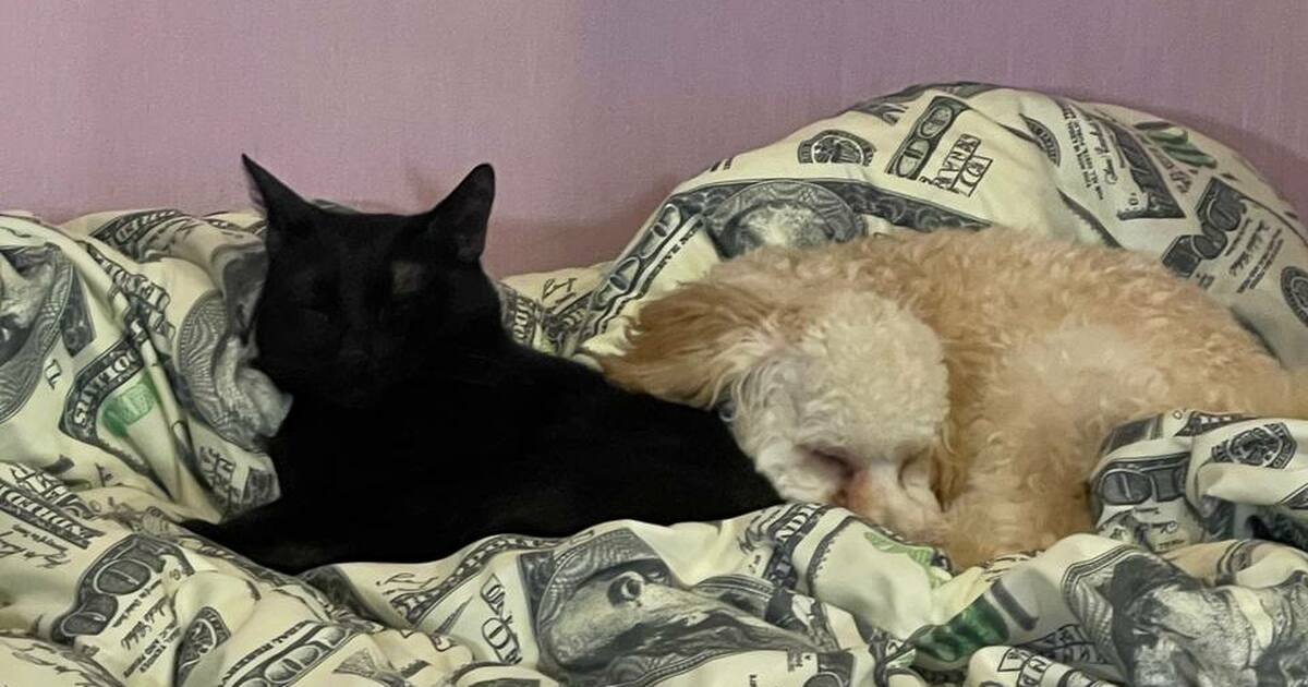 Иеромонах Феодорит сообщил, что православные ве...