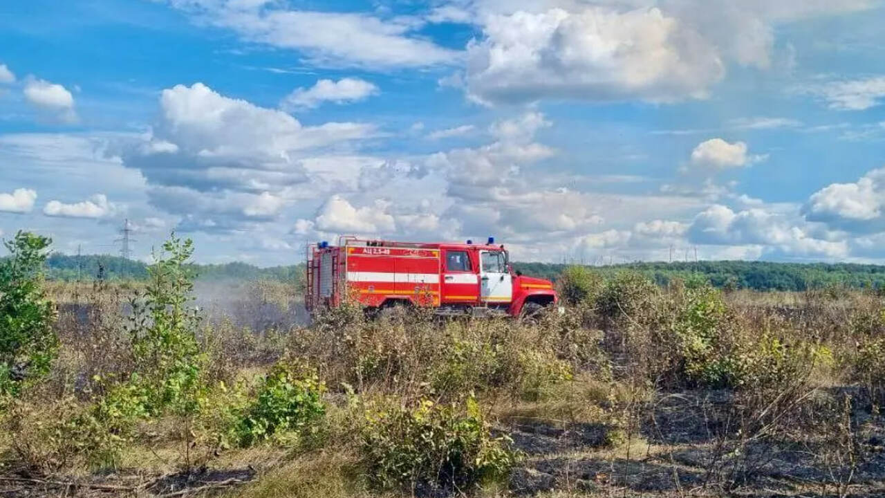 17 августа в Чапаевском лесничестве вспыхнул п...