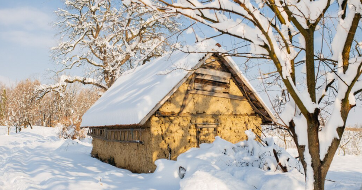 Подморозило, а без снега: чем опасна такая погода на даче и как не нарваться на проблемы Опасности дачного межсезонья: когда зима приход...