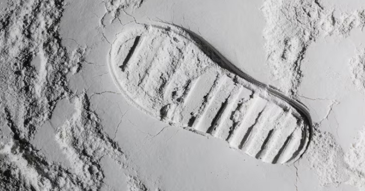 Геохимики с помощью системы искусственного инте...